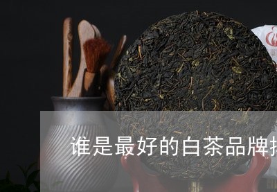 谁是最好的白茶品牌排名/2023032890703