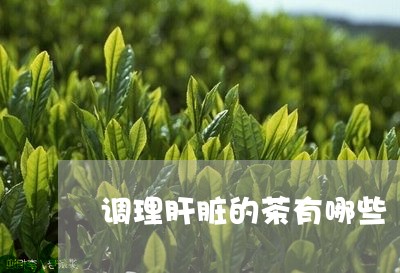 调理肝脏的茶有哪些/2023032086260