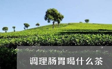 调理肠胃喝什么茶/2023032306159