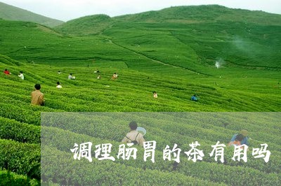 调理肠胃的茶有用吗/2023041583840