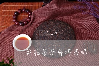 谷花茶是普洱茶吗/2023041292618