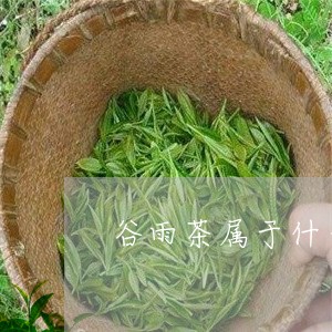 谷雨茶属于什么茶类/2023032173716