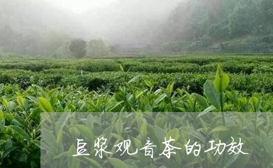 豆浆观音茶的功效/2023032553712