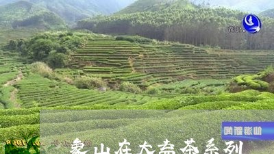 象山在大益茶系列/2023032680593