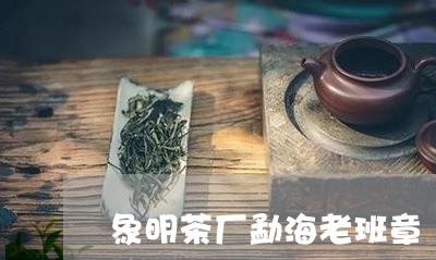 象明茶厂勐海老班章/2023031951693