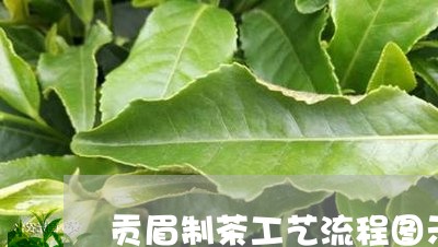 贡眉制茶工艺流程图示图/2023032977471