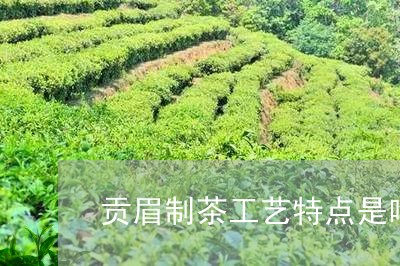 贡眉制茶工艺特点是啥呀/2023032953724