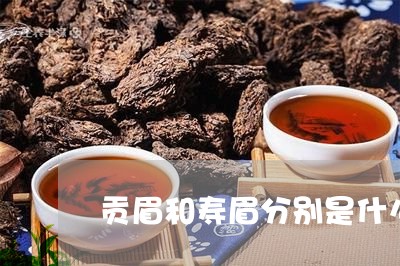 贡眉和寿眉分别是什么茶/2023032968179