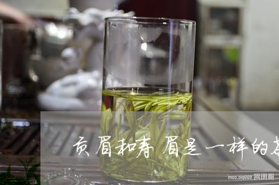 贡眉和寿眉是一样的茶吗/2023032922806