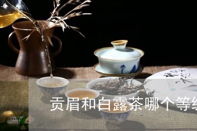 贡眉和白露茶哪个等级高/2023032994026