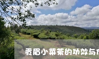 贡眉小菜茶的功效与作用/2023032955352