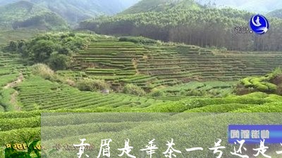 贡眉是华茶一号还是二号/2023032963724