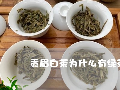 贡眉白茶为什么有绿茶味/2023032926271