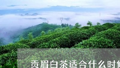 贡眉白茶适合什么时候喝/2023032925026