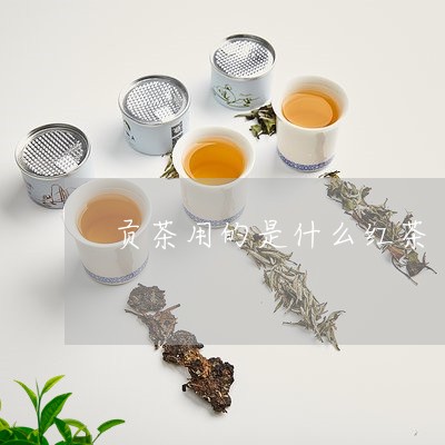 贡茶用的是什么红茶/2023031944047