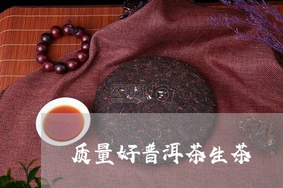 质量好普洱茶生茶/2023041123727