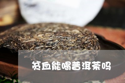 贫血能喝普洱茶吗/2023041327283