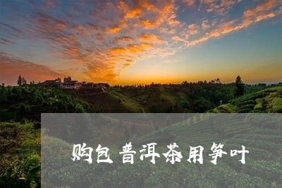 购包普洱茶用笋叶/2023033059594