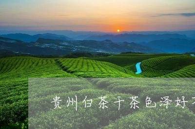 贵州白茶干茶色泽好不好/2023032961795