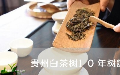 贵州白茶树10年树龄多少/2023033069462