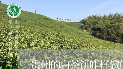 贵州的白茶饼咋样做的好/2023032931603