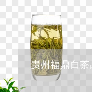 贵州福鼎白茶品牌加盟店/2023032906269