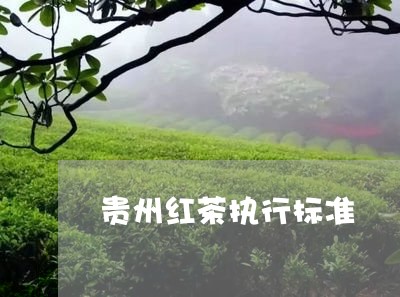 贵州红茶执行标准/2023032476371