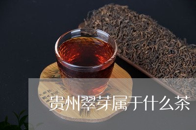 贵州翠芽属于什么茶/2023041547470