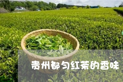 贵州都匀红茶的香味/2023041705171