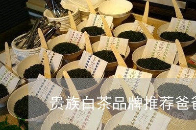 贵族白茶品牌推荐爸爸喝/2023032903735