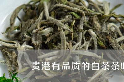 贵港有品质的白茶茶叶店/2023032946371