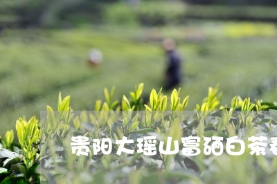 贵阳大瑶山富硒白茶春茶/2023032930671