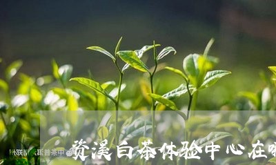 资溪白茶体验中心在哪里/2023032938372