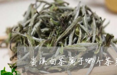 资溪白茶属于哪个茶类的/2023032947261