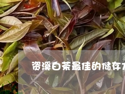 资溪白茶最佳的储存方法/2023032948361