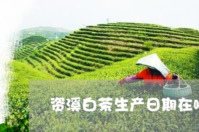 资溪白茶生产日期在哪里/2023032936260