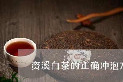 资溪白茶的正确冲泡方法/2023032999704