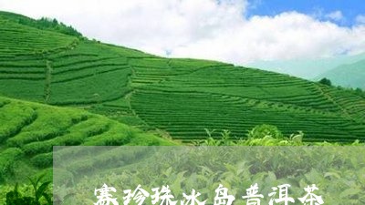 赛珍珠冰岛普洱茶/2023031792847