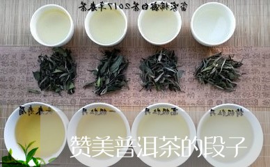 赞美普洱茶的段子/2023033019361