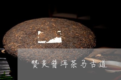 赞美普洱茶马古道/2023033009150