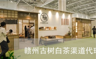 赣州古树白茶渠道代理商/2023032974140