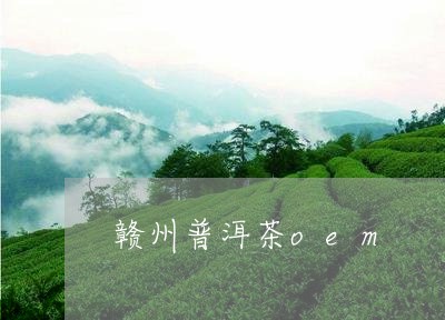 赣州普洱茶oem/2023041024926