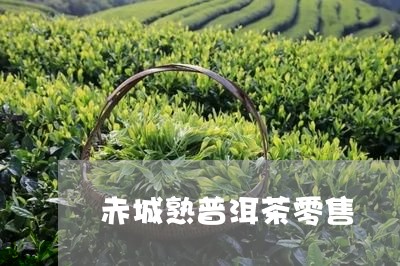 赤城熟普洱茶零售/2023033113056