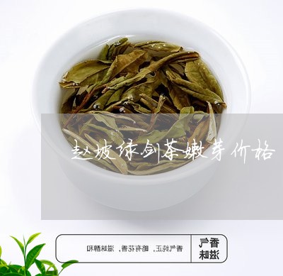 赵坡绿剑茶嫩芽价格/2023041773957