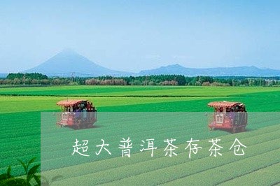 超大普洱茶存茶仓/2023031875936