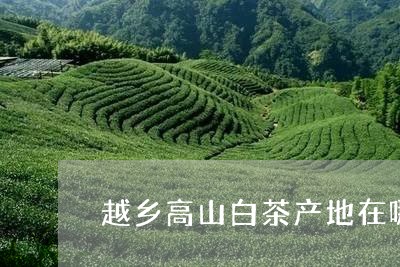 越乡高山白茶产地在哪里/2023032915059