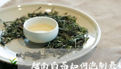 越南白茶如何泡制最好的/2023032903039