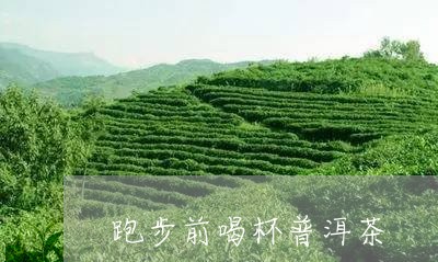 跑步前喝杯普洱茶/2023031836150