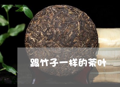 跟竹子一样的茶叶/2023032666161