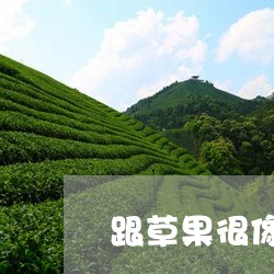 跟草果很像泡茶喝/2023032407615